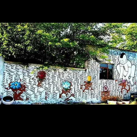 Backpacker Hostel *